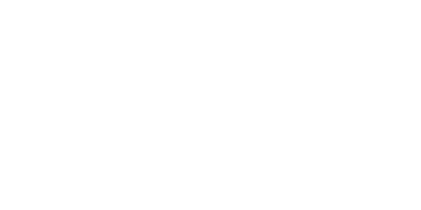 네이버페이 logo